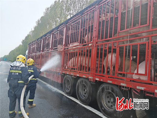 贵海国际 邯郸市大名县消防救援大队成功救援中暑生猪