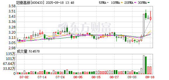 A股策略 冠豪高新：2025年第三次临时股东大会决议公告
